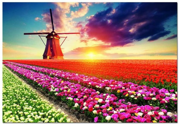 Educa Tulıps Landscape 1500 Parça Puzzle - 2