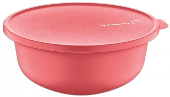 1 Lt Küçük Kapaklı Kase Saklama Kabı - 6