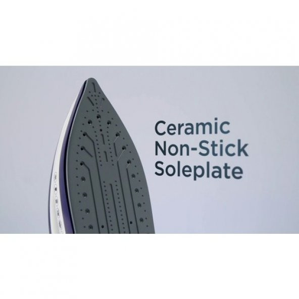 RUSSELL HOBBS 24440-56 STEAM POWER BUHAR TANKLI ÜTÜ MOR - 2