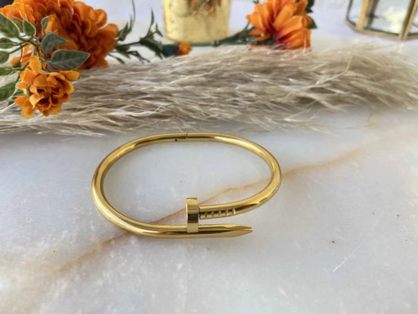 Aksesuar Çarşısı Çelik Charm Tiffany Çivi Model Bileklik Gold - Resim 2