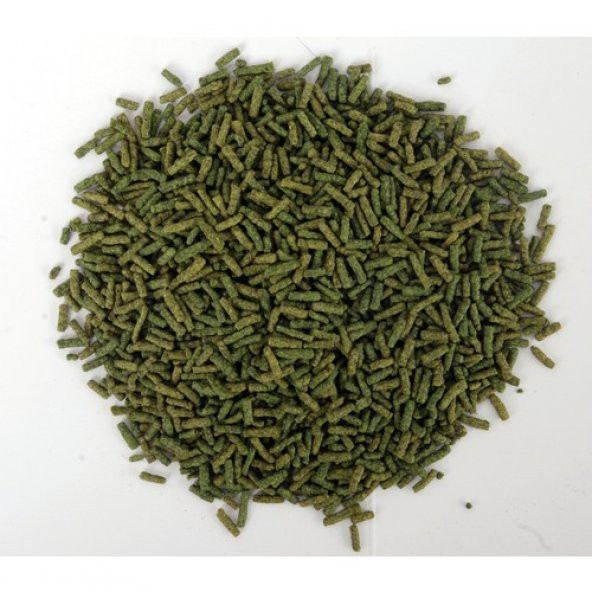 Amore Turtle Sticks 250 ml Vitamin Kalsiyum Mineral Plus Dengeli Veggie Sürüngen ve Kaplumbağa Yemi - 2