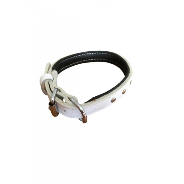 DESİNGSHOP Deri Köpek Tasması Beyaz 56cm En:2cm