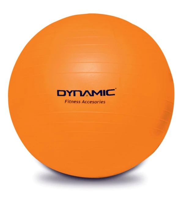 Dynamic Gymball Pilates Topu 20 Cm/Altın