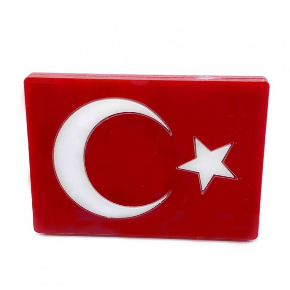 Panjur Arması Ay Yıldız Türk Bayrağı - 2