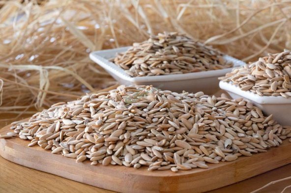 KAVUN ÇEKİRDEĞİ (KAVRULMUŞ)  (1 KG ) - 2