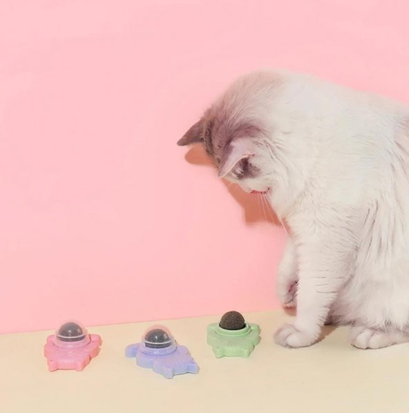 Ans Catnipli Yapışkanlı Yalama Topu - 7