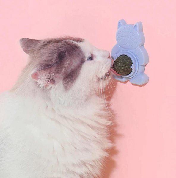 Ans Catnipli Yapışkanlı Yalama Topu - 8