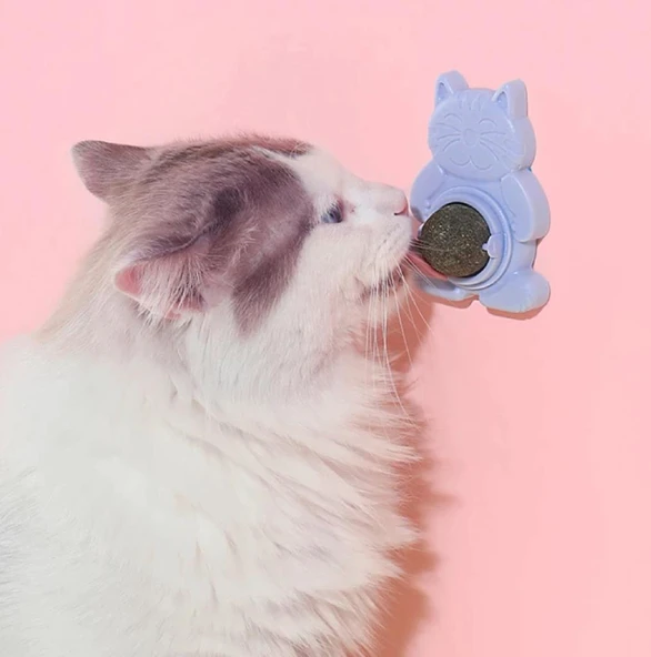 Ans Catnipli Yapışkanlı Yalama Topu - Resim 8