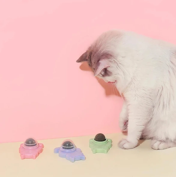 Ans Catnipli Yapışkanlı Yalama Topu - Resim 7