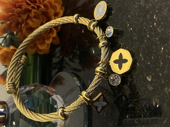 Aksesuar Çarşısı Çelik Pandora Model Hazır Yonca Detaylı Kelepçe Bileklik ürün görseli