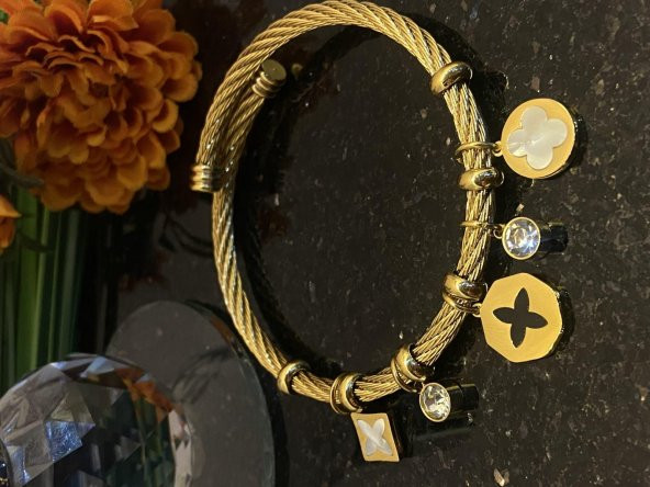 Aksesuar Çarşısı Çelik Pandora Model Hazır Yonca Detaylı Kelepçe Bileklik - Resim 2