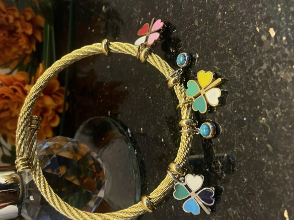 Aksesuar Çarşısı Çelik Pandora Model Hasır Renkli Yonca Tarasımlı Bileklik - 2
