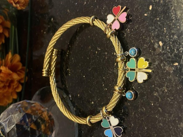 Aksesuar Çarşısı Çelik Pandora Model Hasır Renkli Yonca Tarasımlı Bileklik - 3