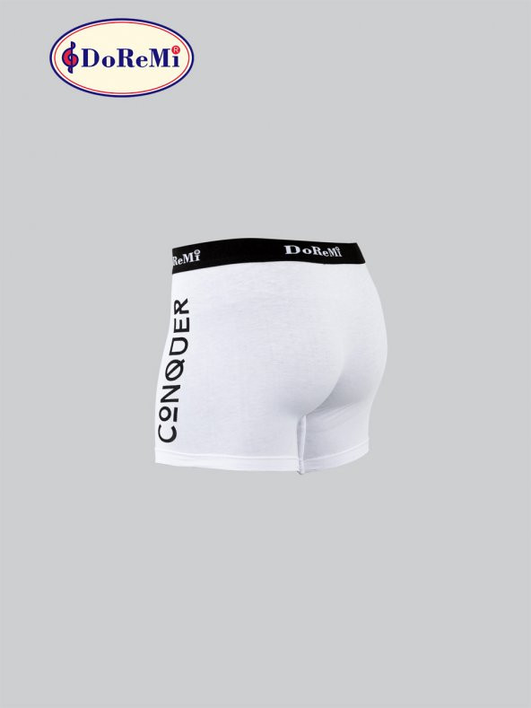 Erkek Boxer - 4