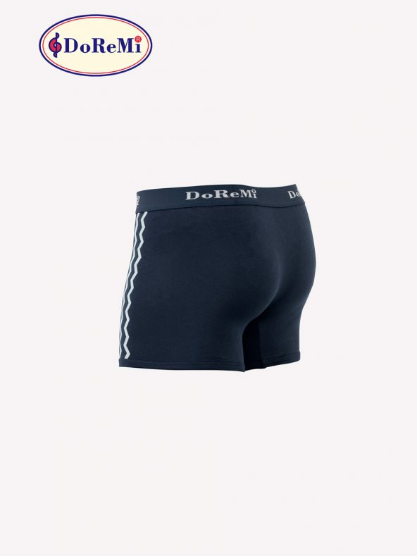 Erkek Boxer - Resim 4