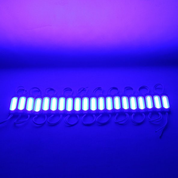 POWERMASTER 12 VOLT 2 WATT MAVİ MODUL LED 68X16 MM - 2