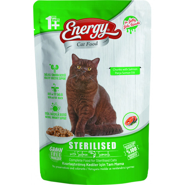 ENERGY SOMONLU KISIRLAŞTIRILMIŞ ISLAK KEDİ MAMASI POUCH 85 GR