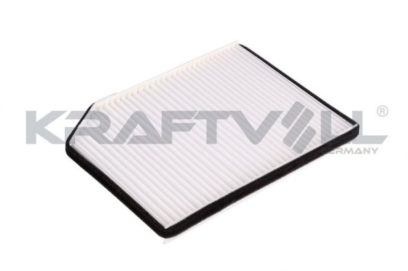Polen Filtresi Laguna I 93-01 / 607 00-