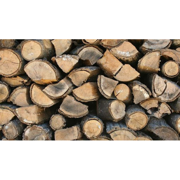 MEŞE ODUNU--10 KG - 2