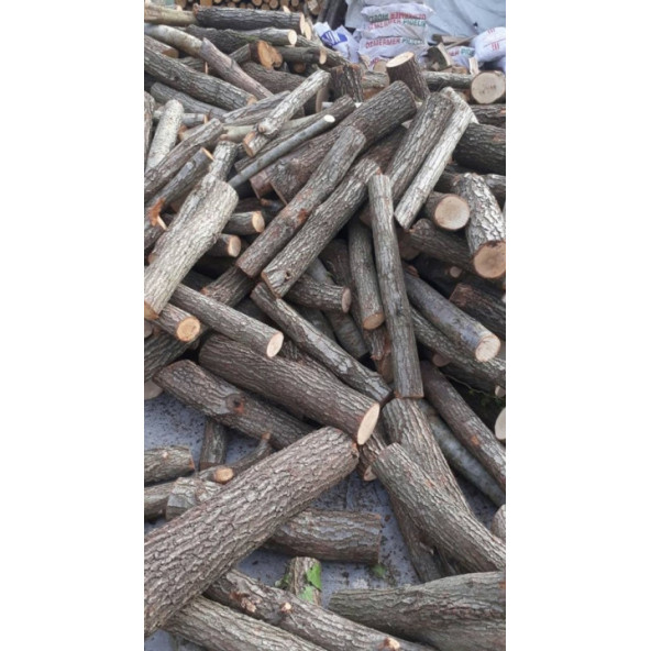 MEŞE ODUNU--10 KG - 3