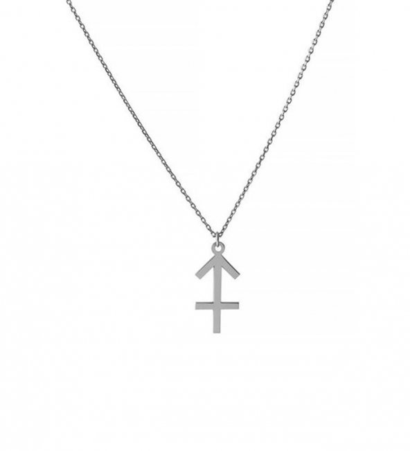 Yay Burcu Gümüş Unisex Hediyelik Kolye