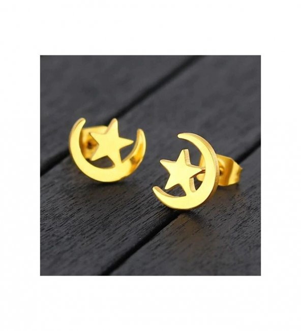 Ay Yıldız Model 925 Ayar Gümüş Hediyelik Küpe