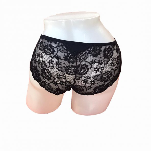 MrrMajestic Dantelli Günlük Külot - Resim 4