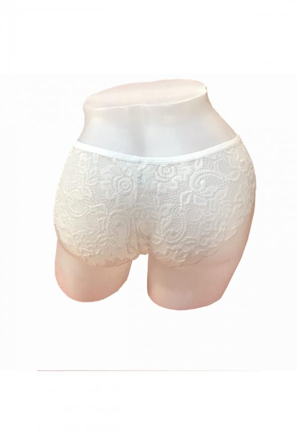 MrrMajestic Dantelli Günlük Külot - Resim 12