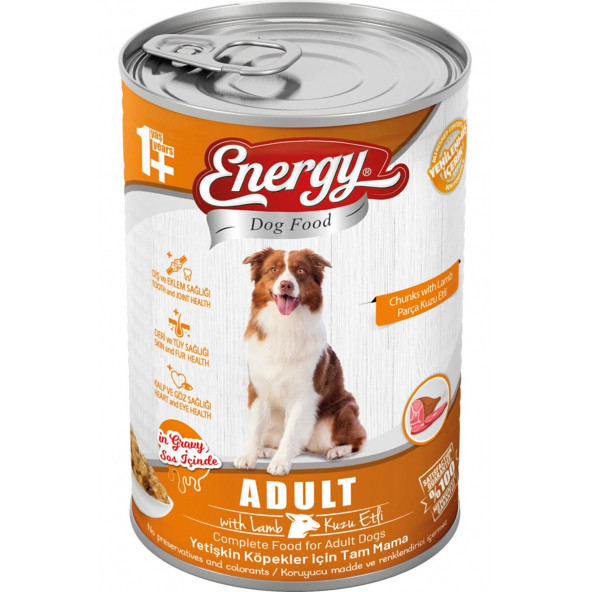 ENERGY KUZU ETLİ YETİŞKİN ISLAK KÖPEK MAMASI KONSERVE 400 GR