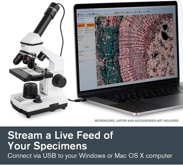 Celestron 5MP CMOS Dijital USB Mikroskop Görüntüleyici - 4