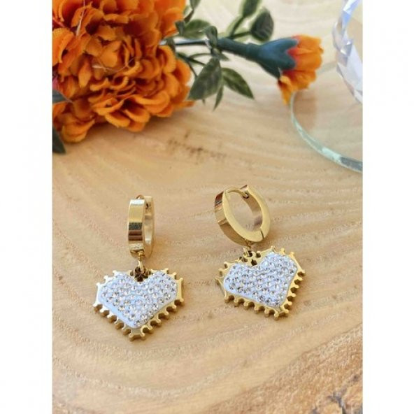 Aksesuar Çarşisi Kalp Tasarımlı Zirkon Taşlı Özel Seri Küpe - Resim 4