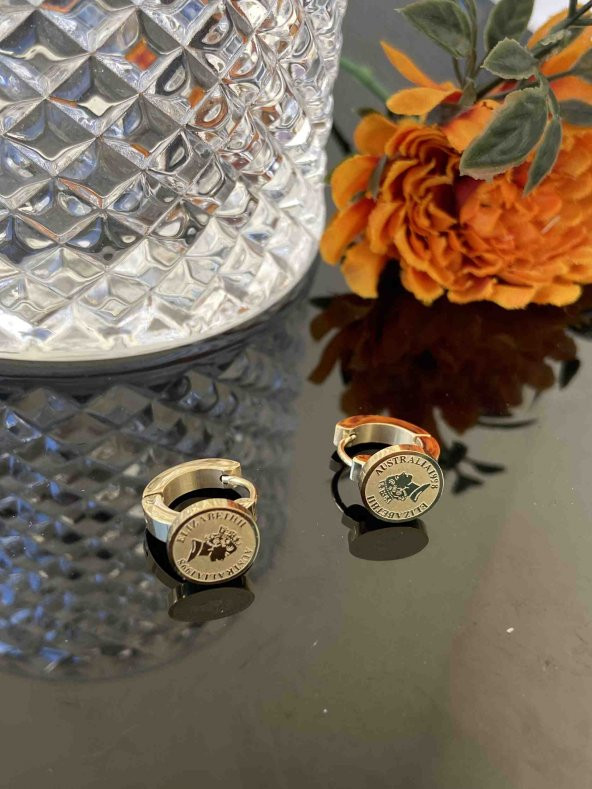 Aksesuar Çarşisi Elizabet Küpe - Resim 2