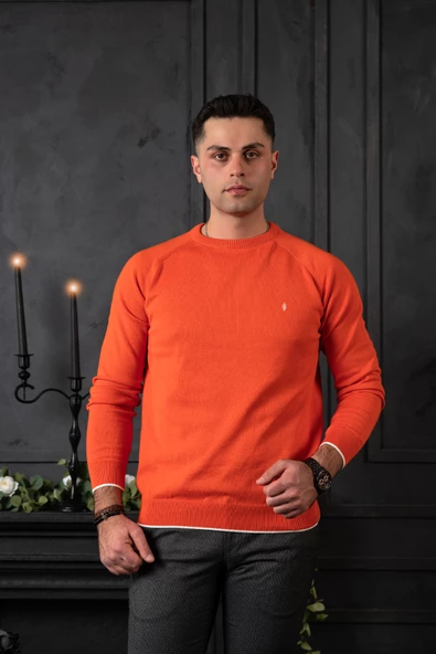 SAN&FA REGULAR FİT BİSİKLET YAKA PAMUKLU ERKEK TRİKO KAZAK - Resim 3