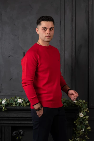 SAN&FA REGULAR FİT BİSİKLET YAKA PAMUKLU ERKEK TRİKO KAZAK - Resim 12