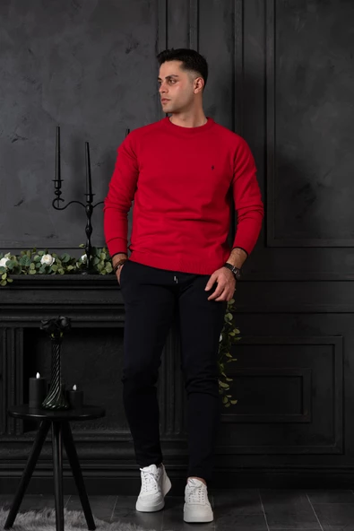 SAN&FA REGULAR FİT BİSİKLET YAKA PAMUKLU ERKEK TRİKO KAZAK - Resim 11