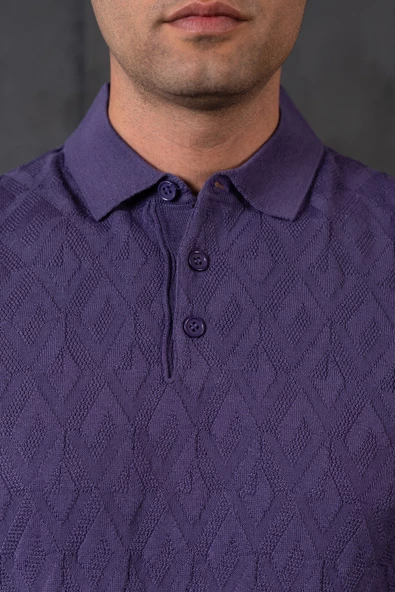 SAN&FA REGULAR FİT POLO YAKA YÜNLÜ ERKEK TRİKO KAZAK - Resim 9