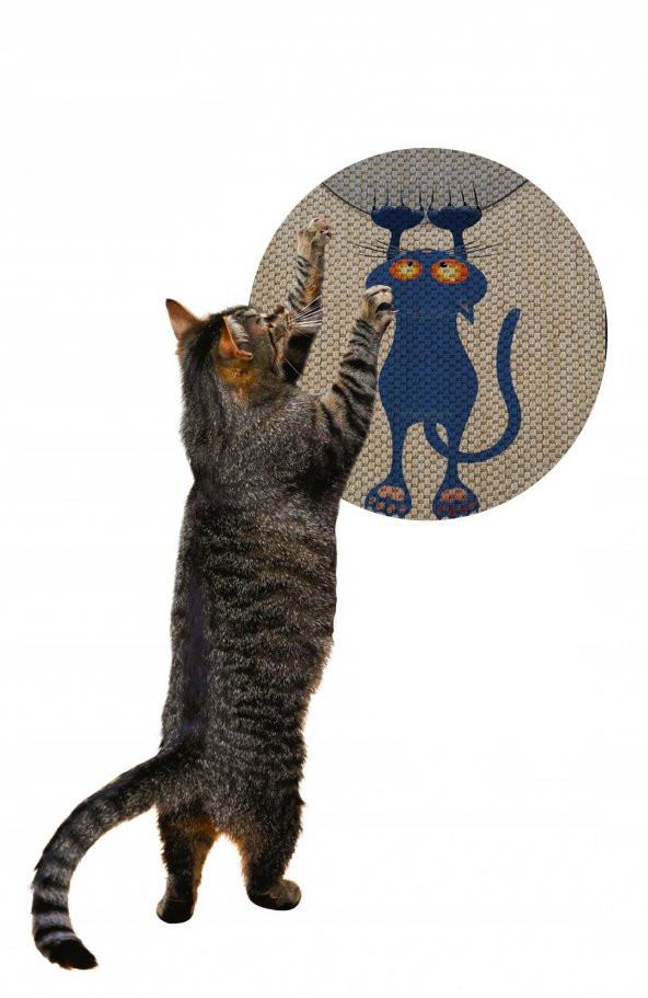 Glipet Desenli Çift Taraflı Kedi Tırmalama Paspası  Yuvarlak Blue cat 36*36 cm - 3