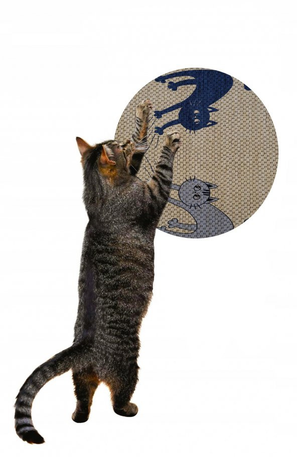 Glipet Desenli Çift Taraflı Kedi Tırmalama Paspası  Yuvarlak Blue-Gray 36*36 cm - 3