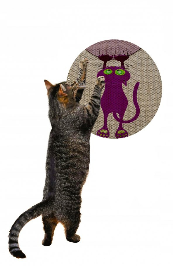 Glipet Desenli Çift Taraflı Kedi Tırmalama Paspası  Yuvarlak Purple 36*36 cm - 2