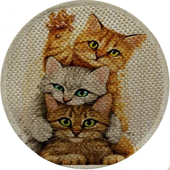 Glipet Desenli Çift Taraflı Kedi Tırmalama Paspası  Yuvarlak Yellow 36*36 cm - 3