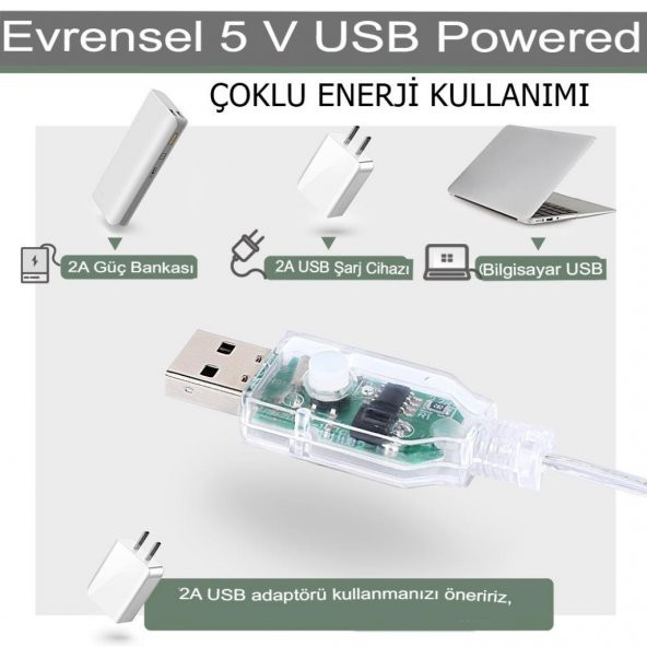 Peri Telli Led Perde Led Işık Kumandalı 300 Ledli 3X3 Metre Usbli 8 Animasyonlu Günışığı - 11