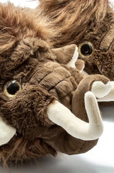 TWG VOMMAMUT KHVPANDUF - 2