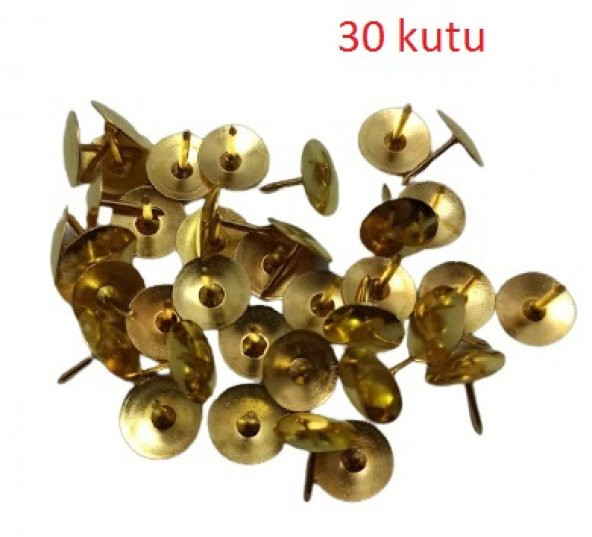 hagiki (30 Kutu) Sarı Raptiye 40 Adetli (30 Kutu)