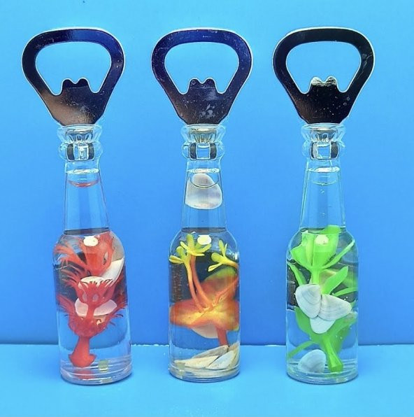 gik şişe model mıknatıslı gazoz açacağı