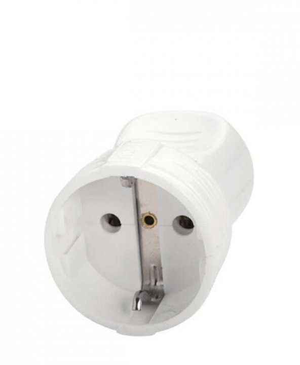 hagiki (1 adet) Topraklı Dişi Fiş (1 adet)