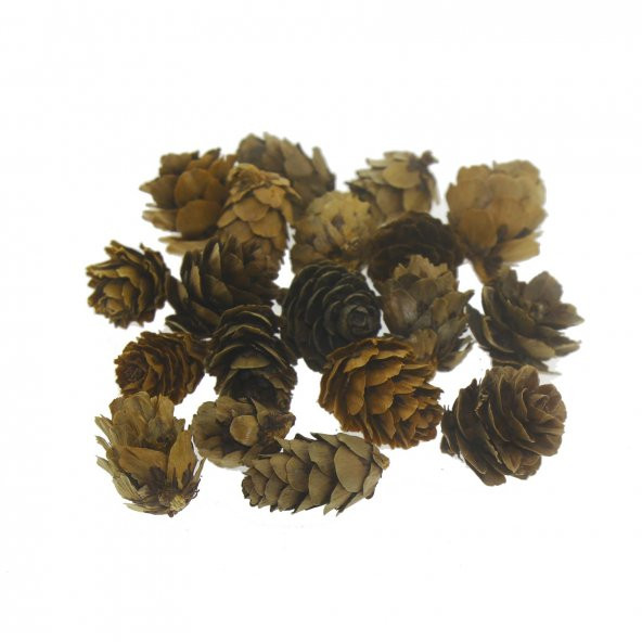 Doğal Kozalak 2-3cm 75gr. (50-55 Adet)