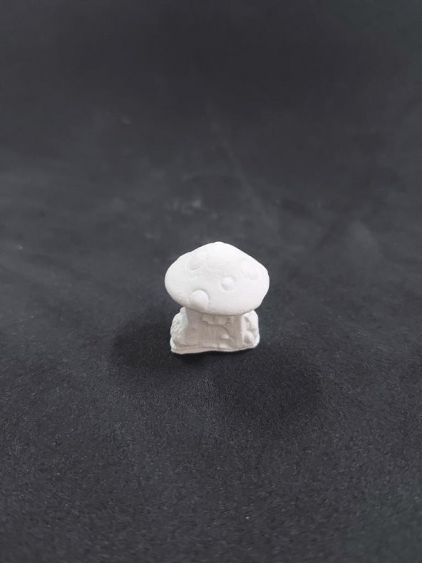 Mantar Ev No:4 3x2,5cm ürün görseli