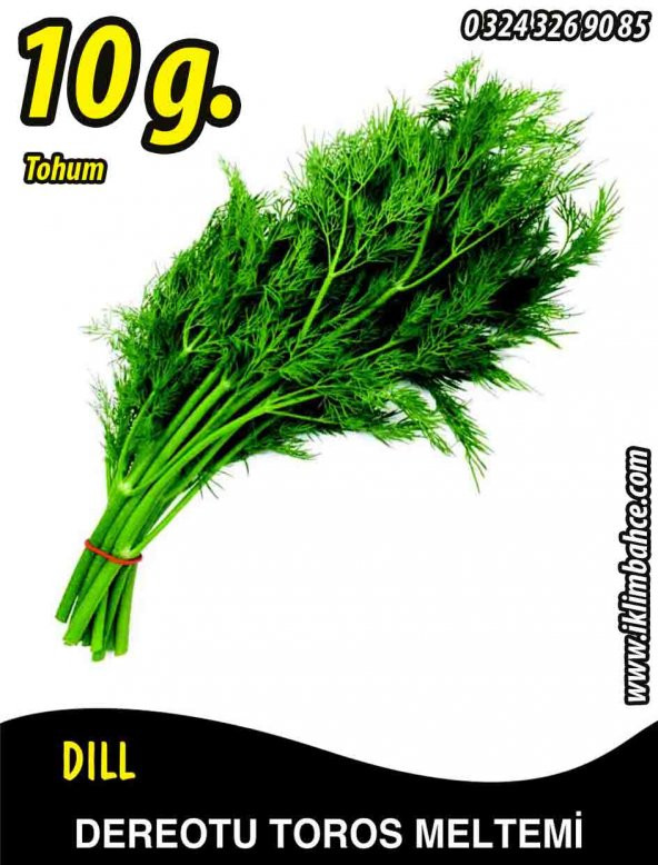 Dereotu Tohumu Toros Meltemi - 10 G (~ Takribi 2500 Tohum)