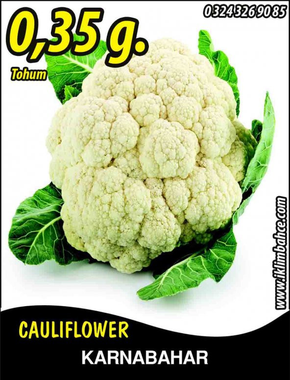 Karnabahar Tohumu Igloo 0,35 G (~ Takribi 60 Tohum)