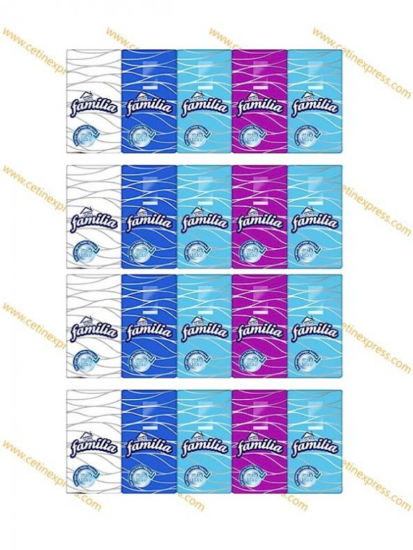 Familia Cep Mendili Peçete 20 Paket